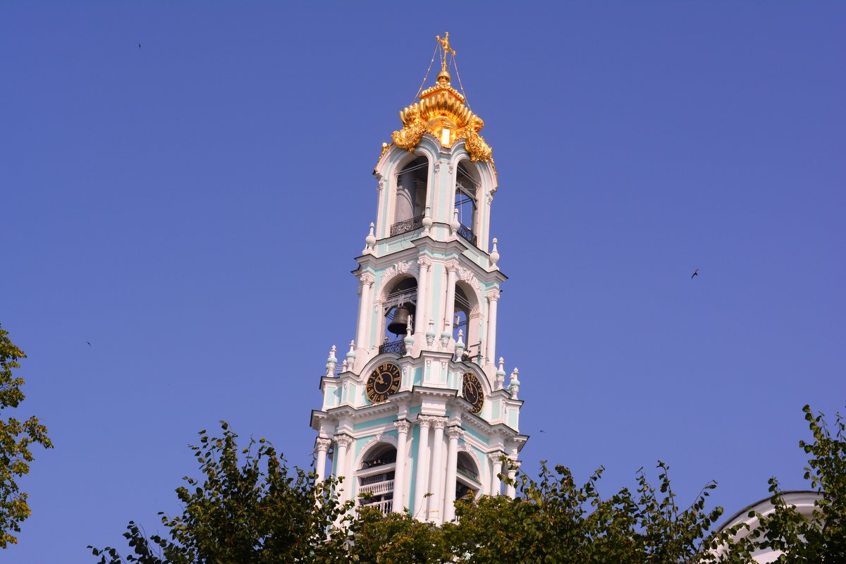 Почти что Пизанская башня - Светлана Ларионова