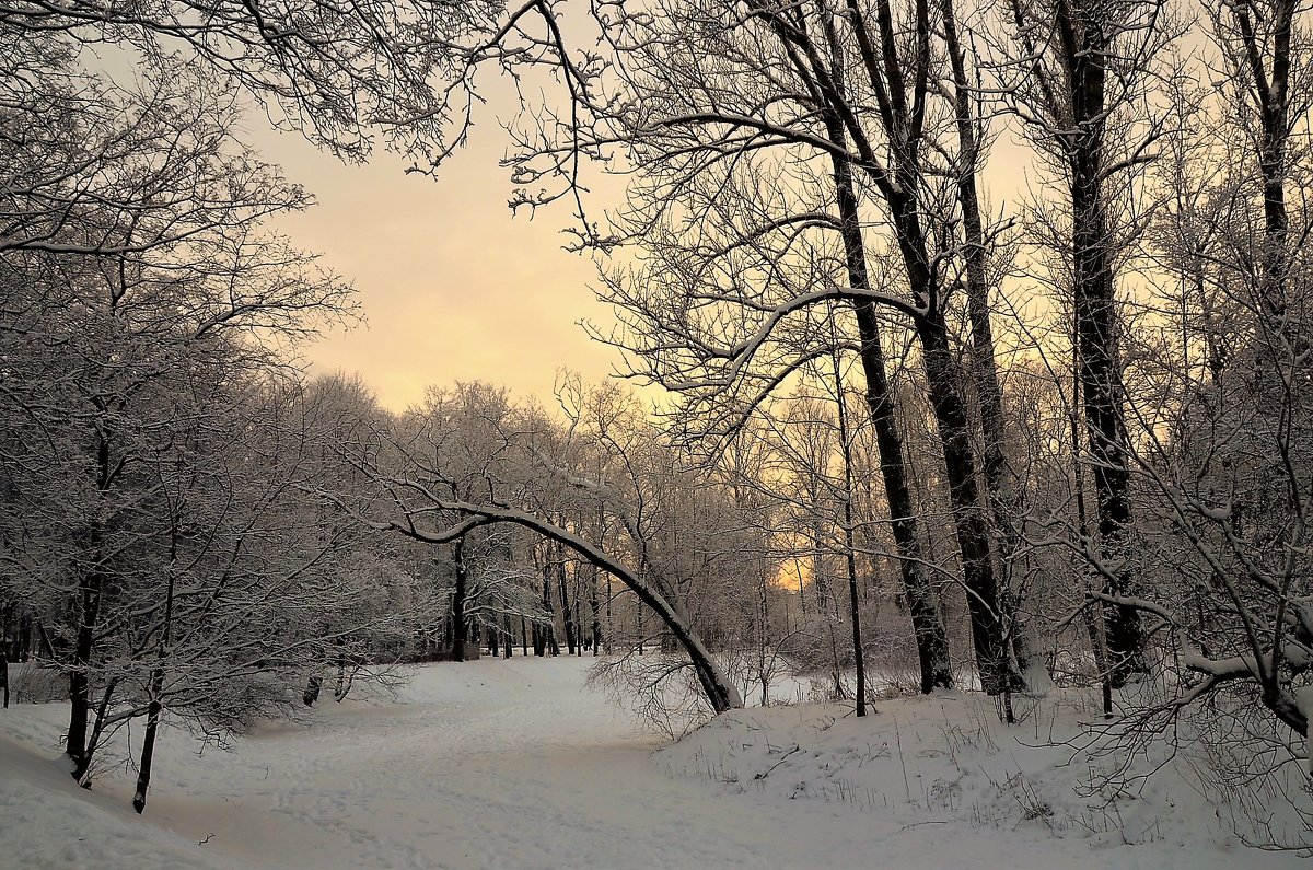 В снежном очаровании... - Sergey Gordoff