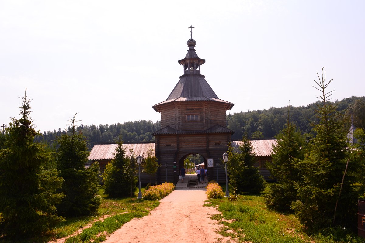 Гремячий - Светлана Ларионова