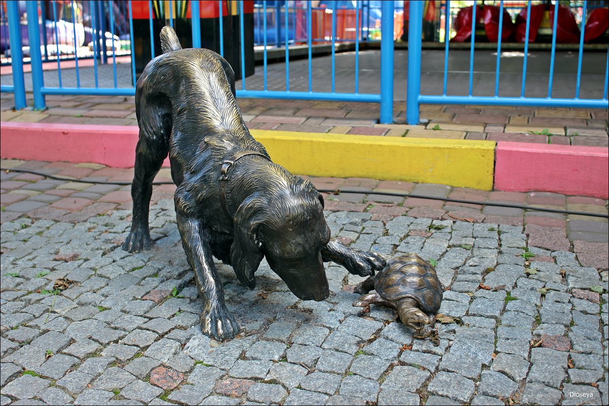 Собака и черепаха - Татьяна Пальчикова