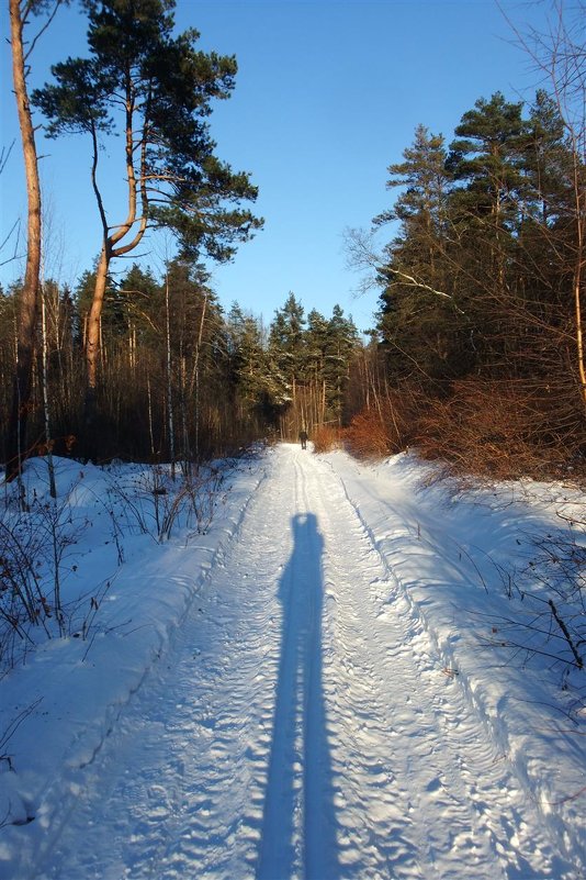 Зимняя дорога - olgaNikel 