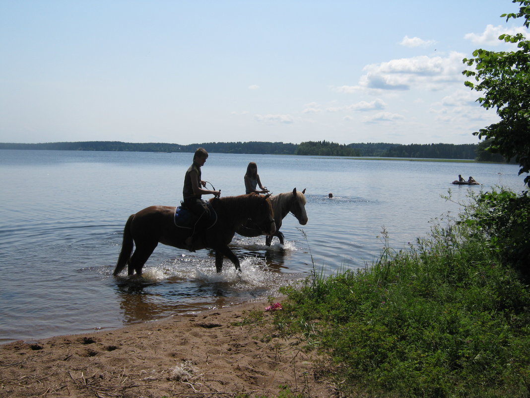 На конях у озера. Прогулка - Татьяна Гусева