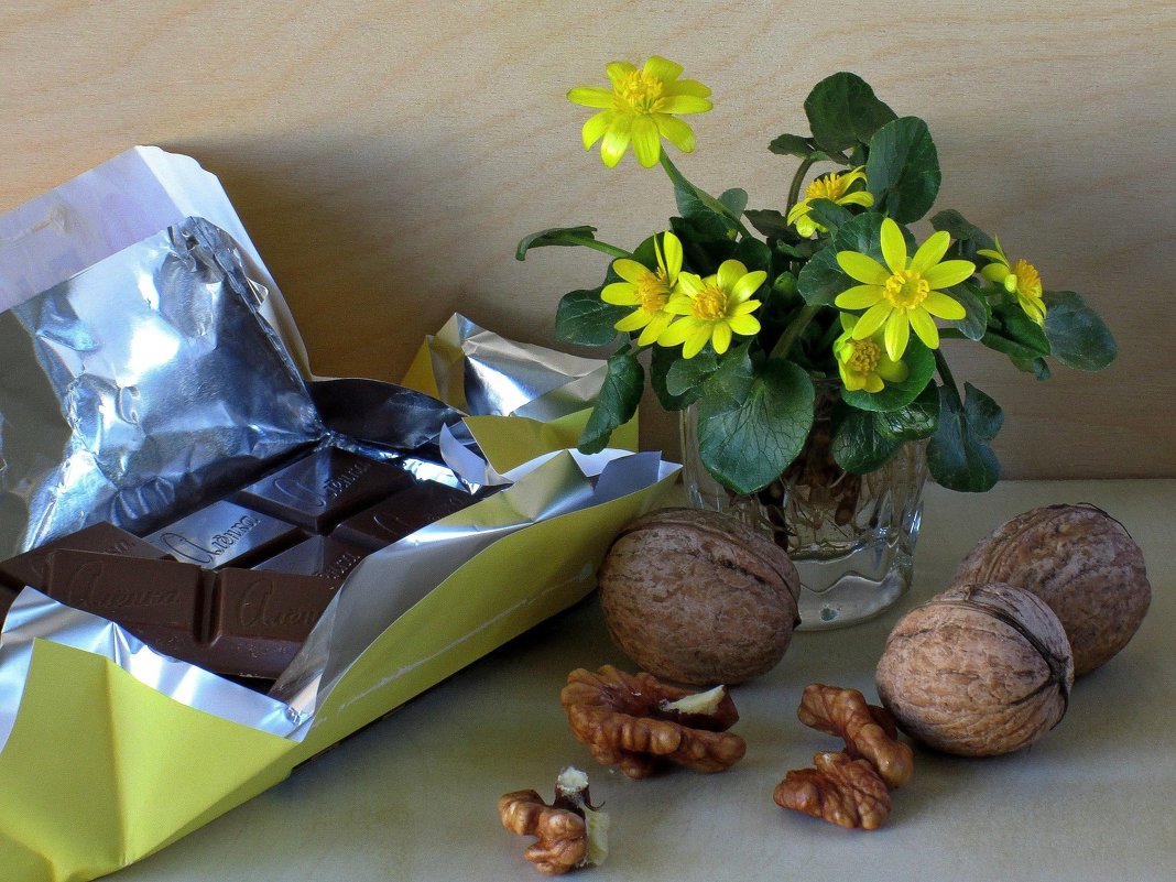 Шоколад с орехами - Татьяна Смоляниченко