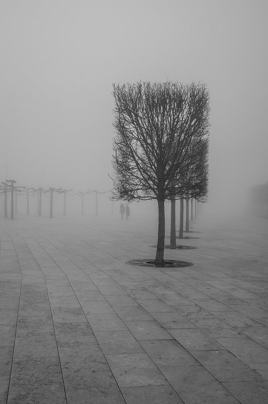 В городе туман - Андрей 