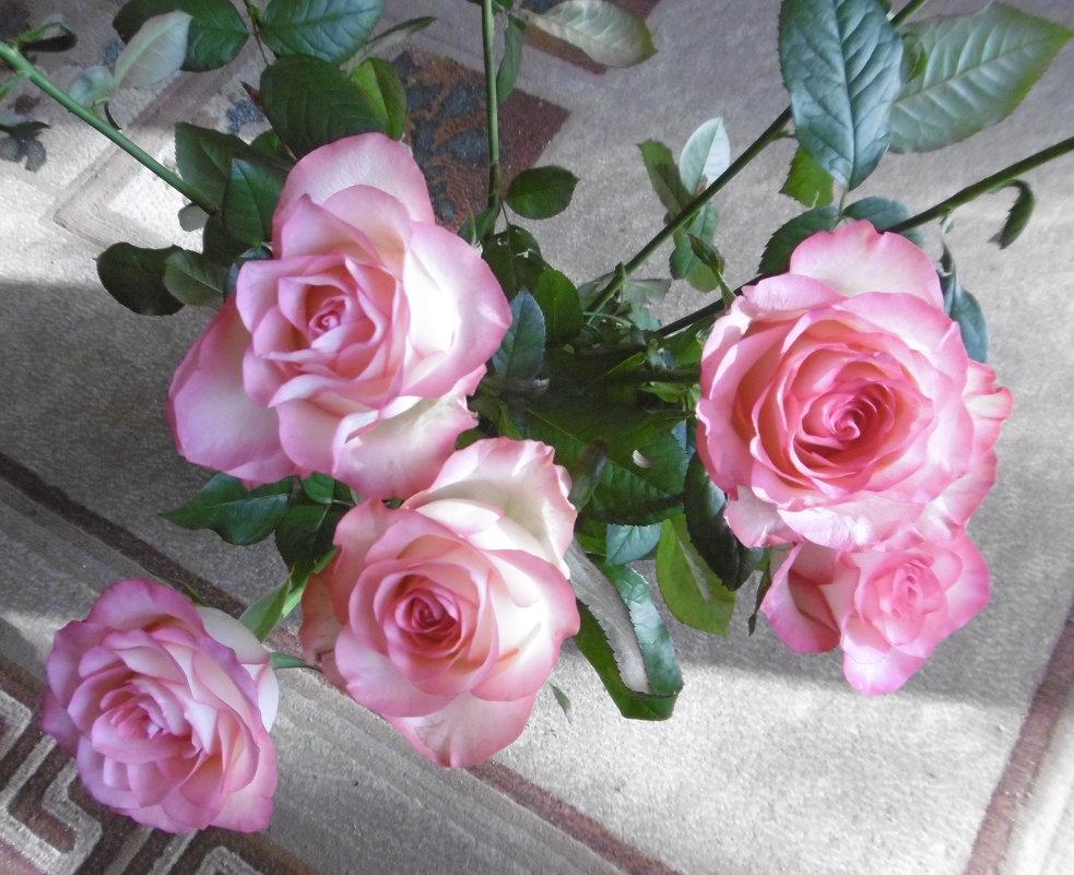 Милых женщин поздравляю с днем 8 Марта и дарю розы! - татьяна 