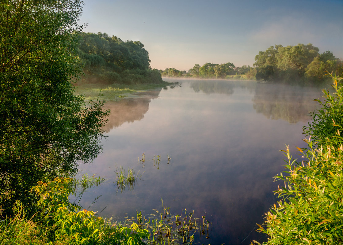 Туманное утро. Река Десна около д.Слобода - Александр Березуцкий (nevant60)