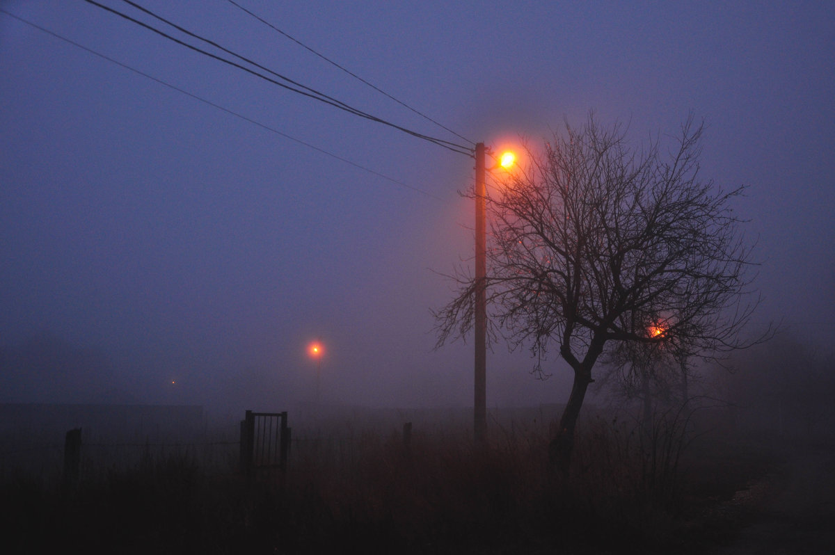 fog - Влад 
