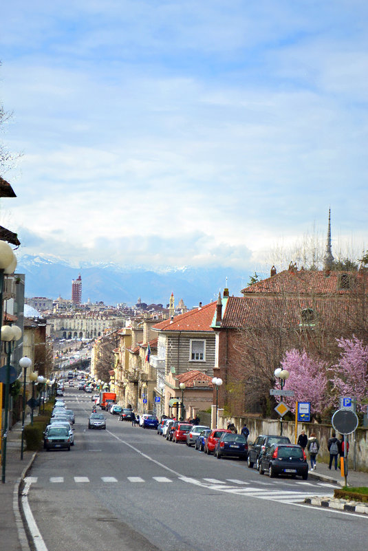 Весна в Турино - Nina Streapan
