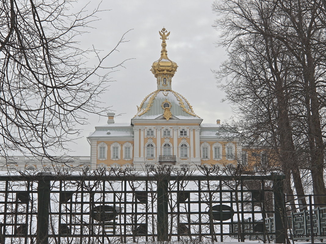 Корпус под гербом - Михаил Лесин