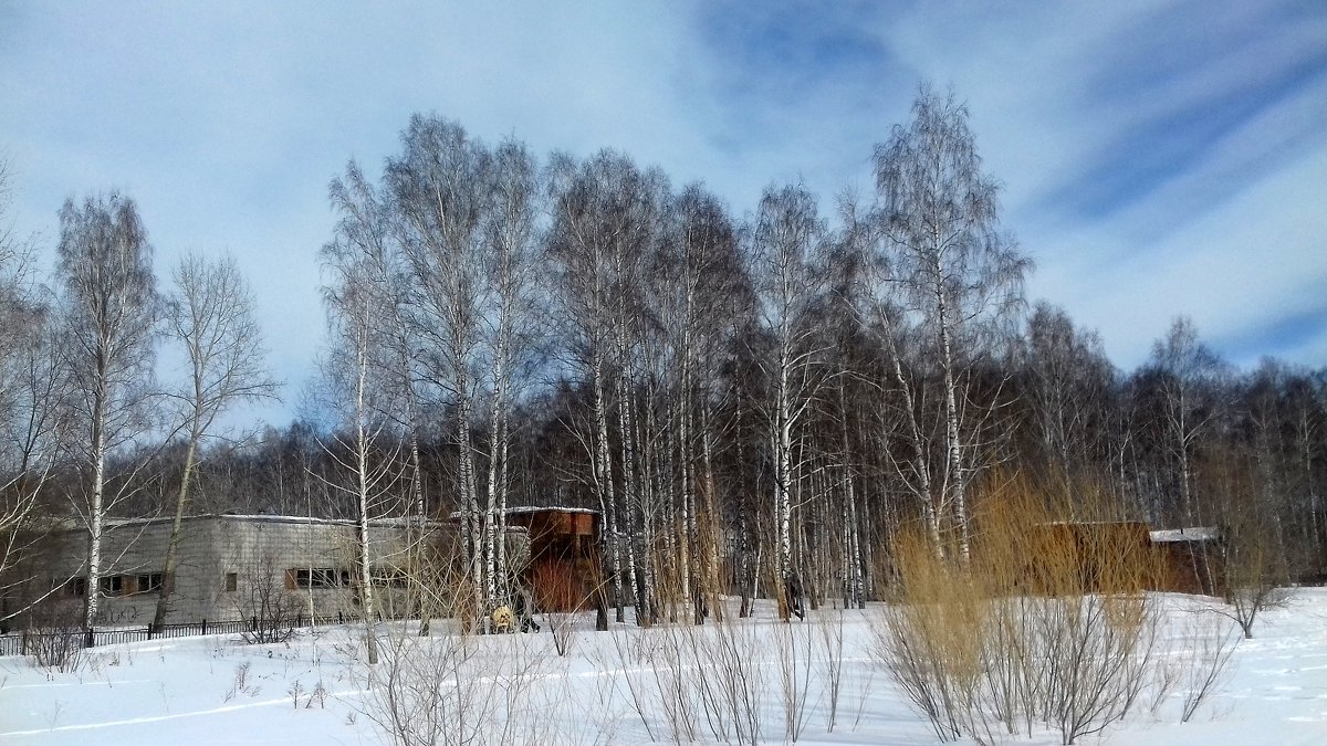 Весеннее настроение . - Мила Бовкун