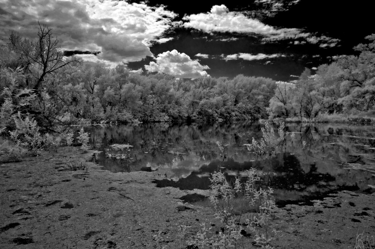 Лесное озеро... черный пруд... - Павел Бутенко