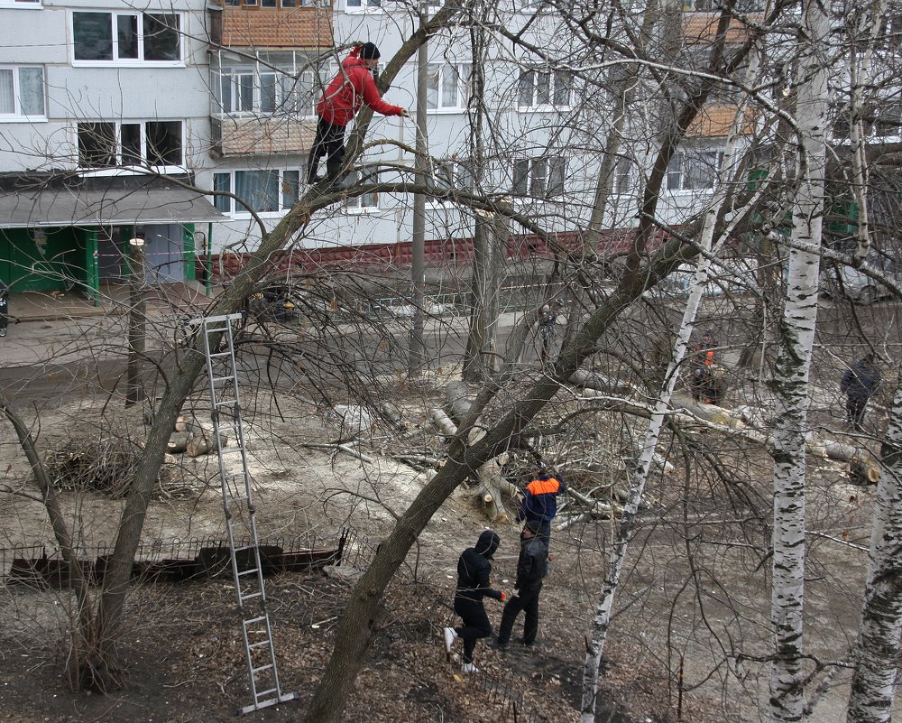 Рубят тополя мужики... - Валерия  Полещикова 