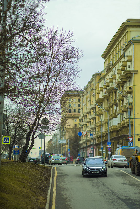 Московские будни. Ленинградский проспект. - Игорь Герман