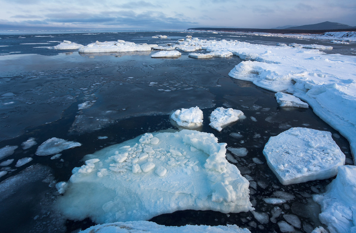 Льды Охотского моря - Артём Удодов 