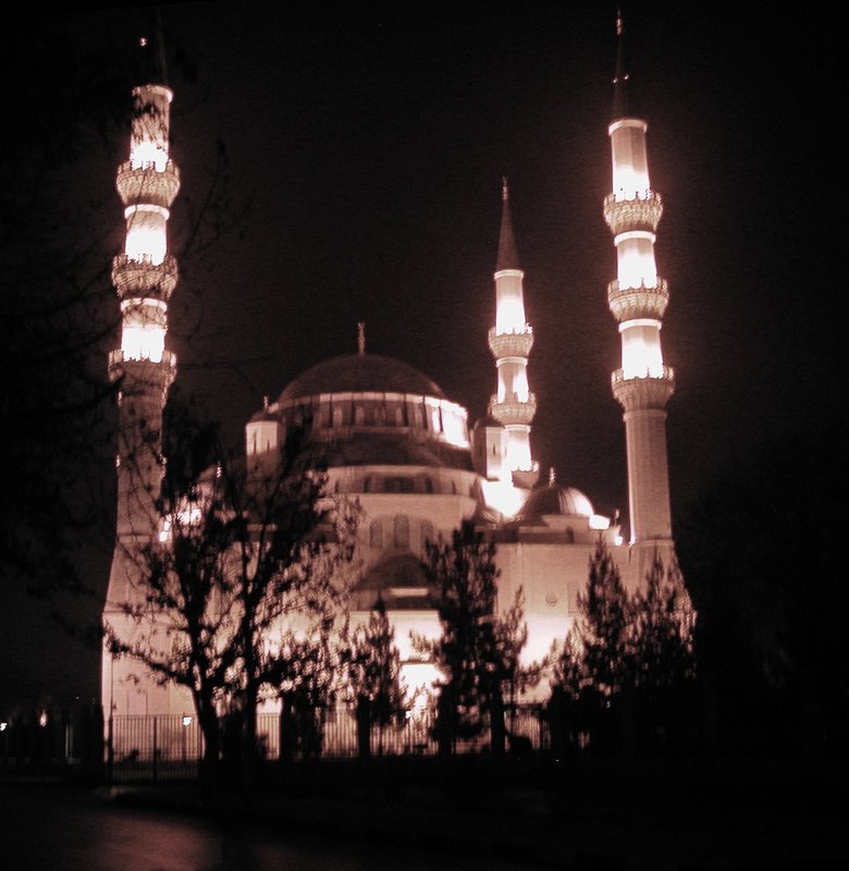 Ашхабад. Мечеть - Elena Соломенцева