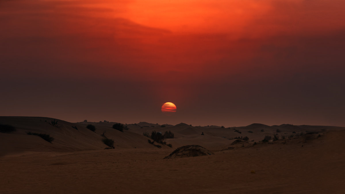 Закат в пустыне - Владимир Горубин