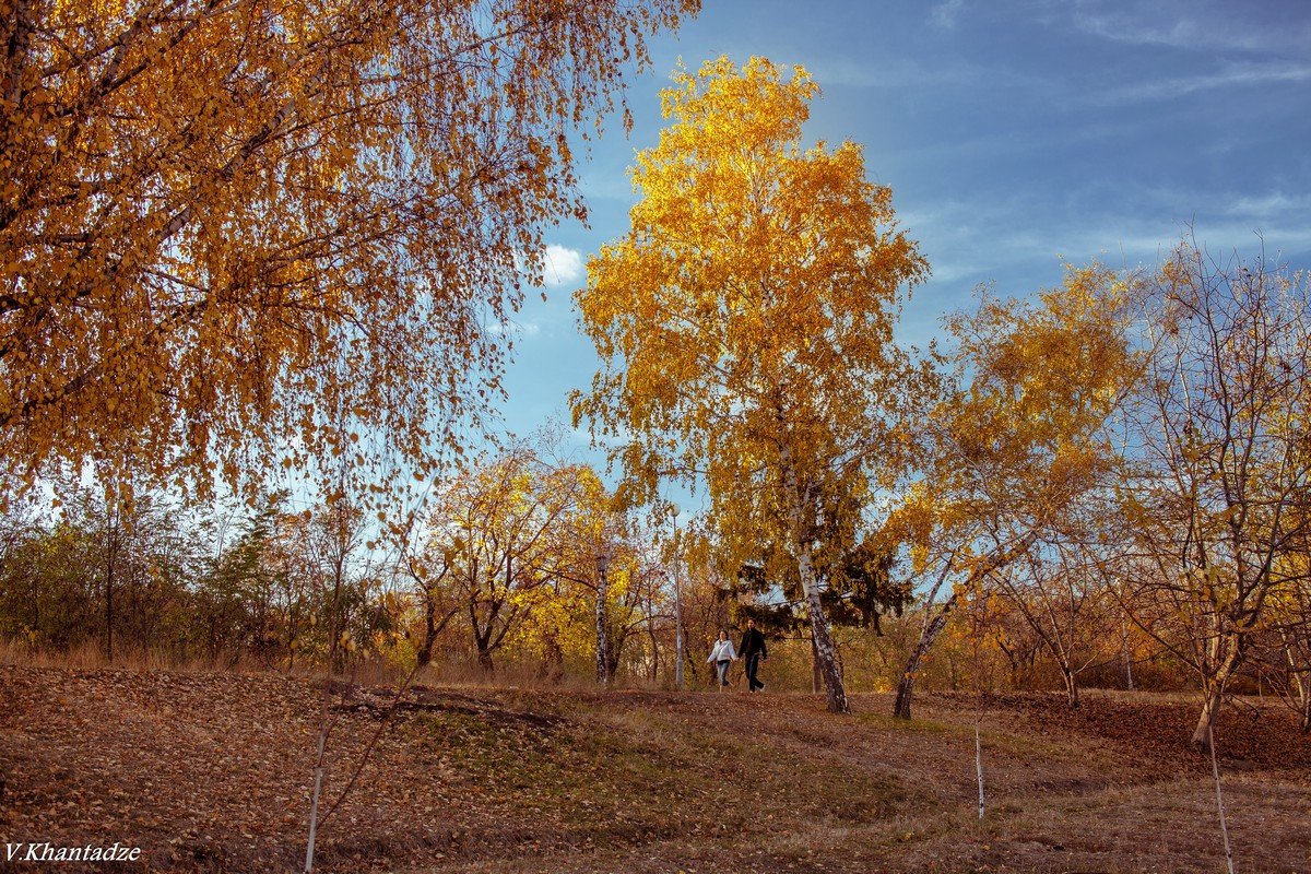 Осень в городском парке. - Вахтанг Хантадзе