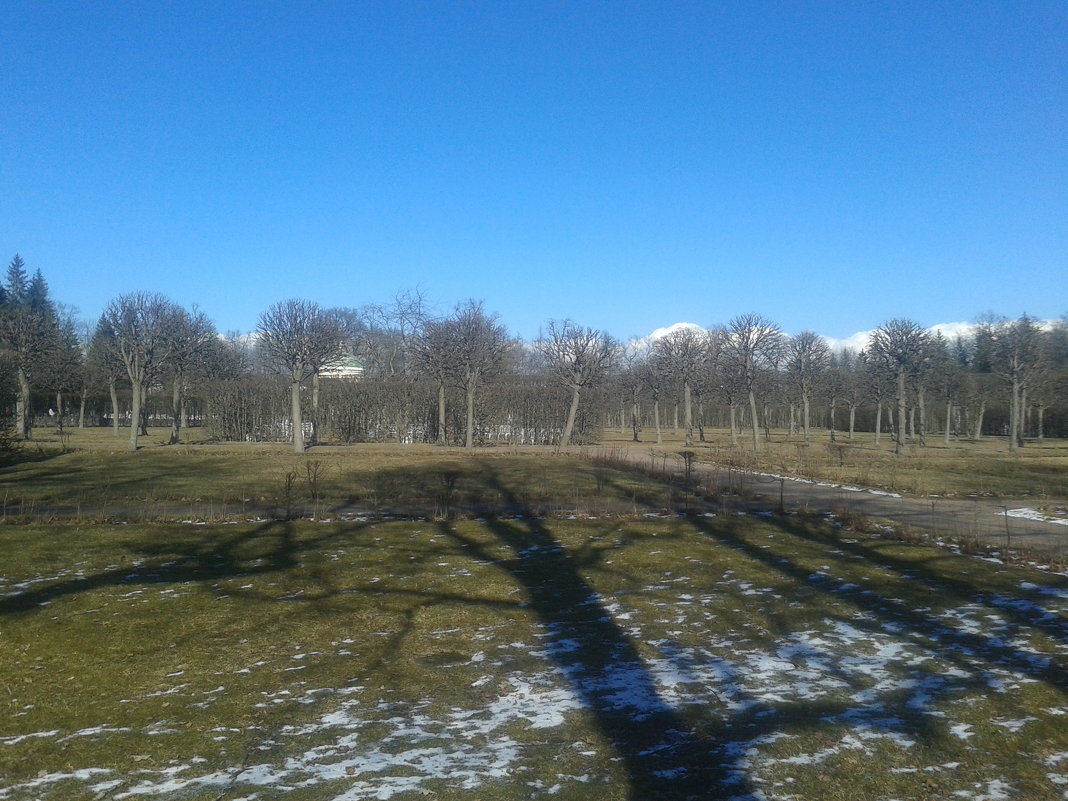 Екатерининский парк весной - Сапсан 