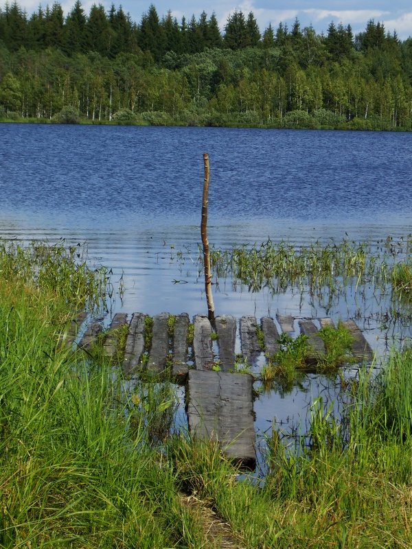Плот на озере - Лада Петрова