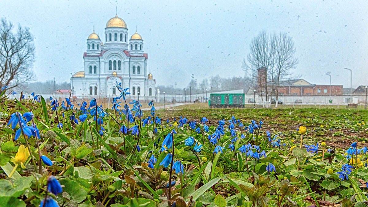 Пролески - Сергей 