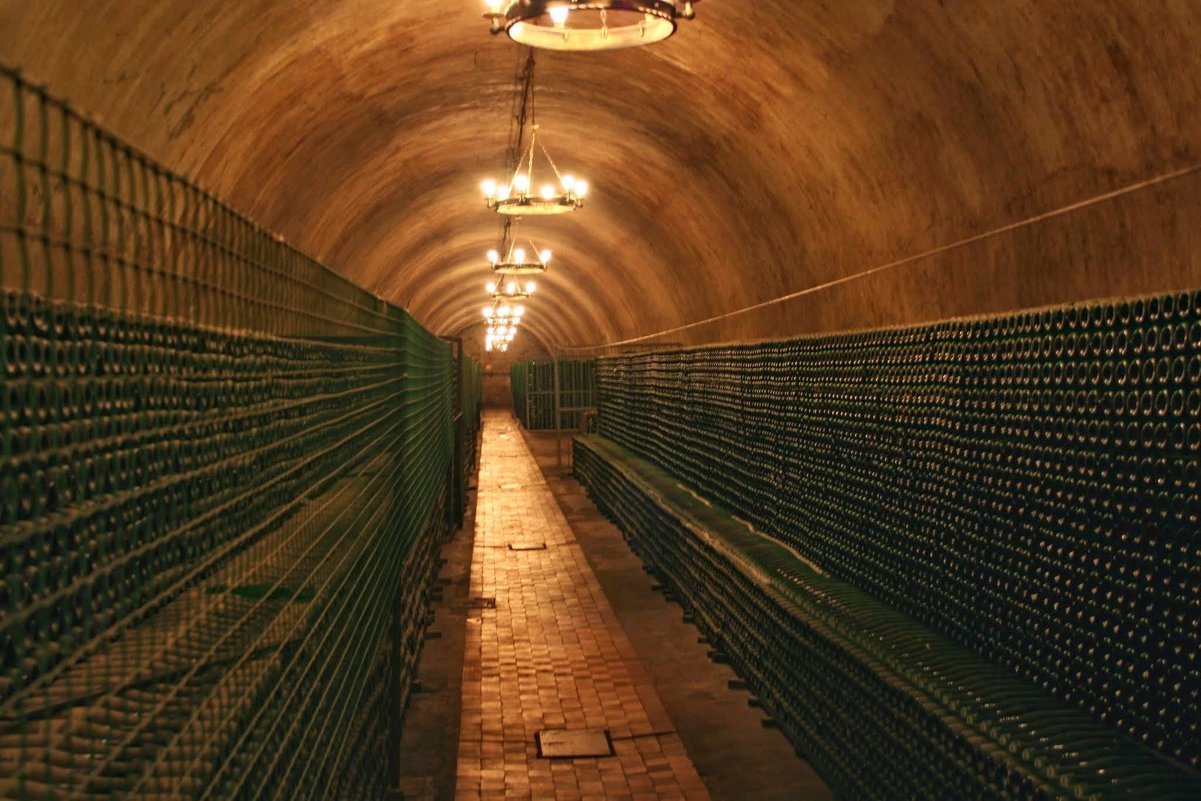 Завод шампанских вин Абрау Дюрсо - Tata Wolf