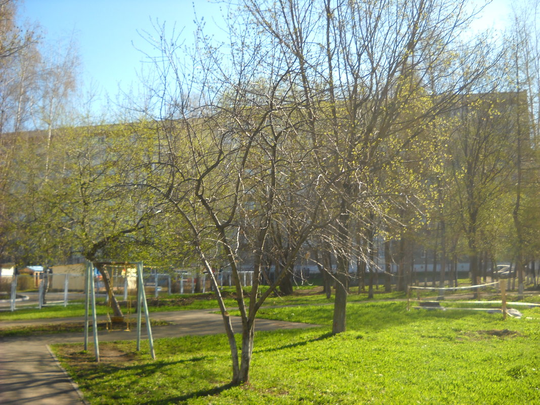 весна в городе - Александр Попков