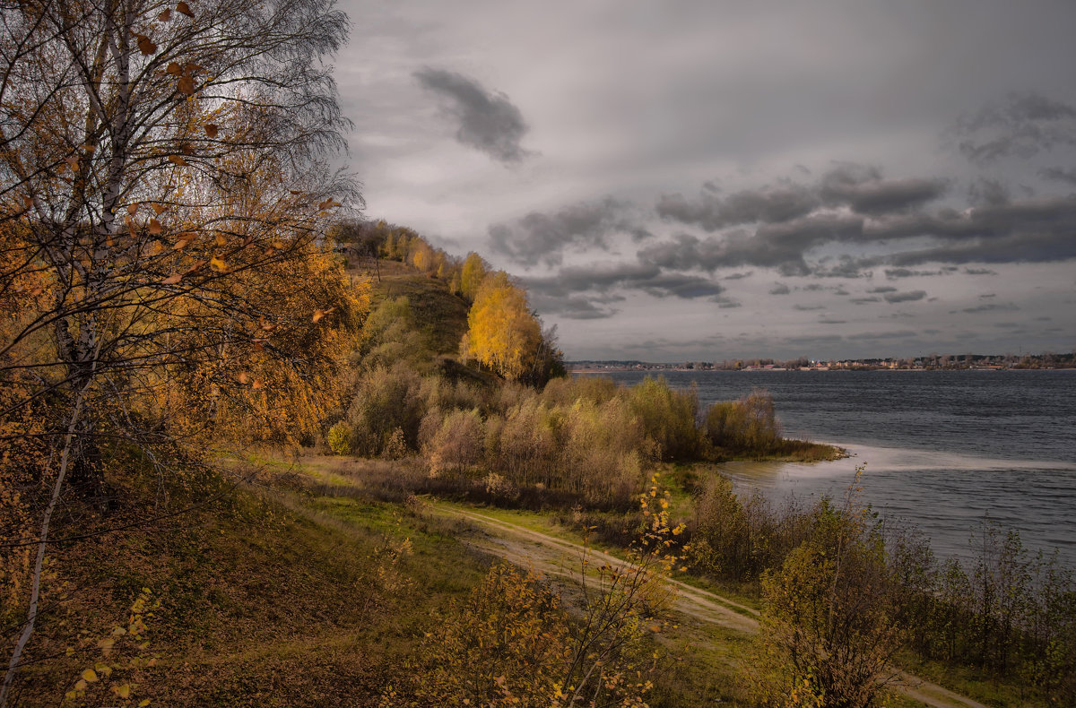 Золото Водолеево - Владимир Макаров