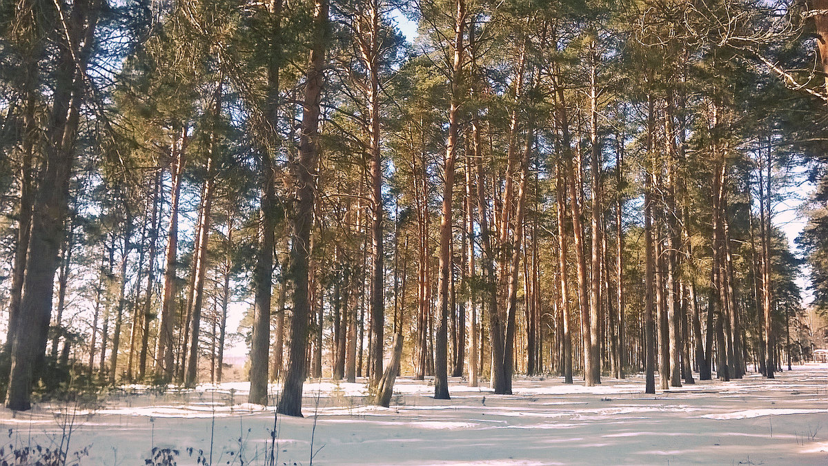 весна в Подосиновце - ВладиМер 