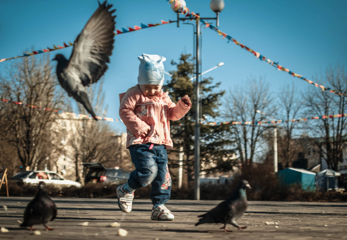 бег за голубями - Vovick Photick