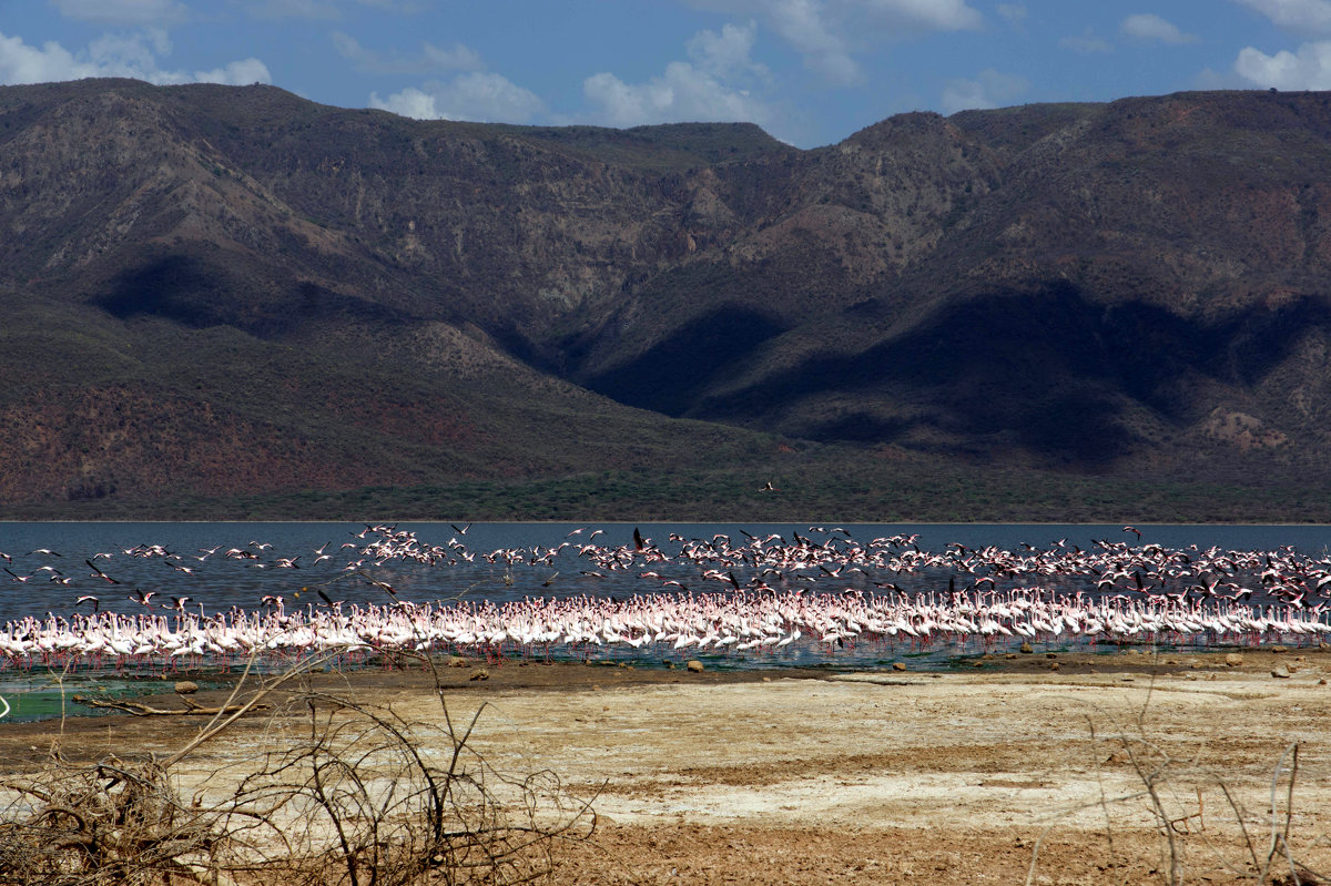 Озеро Баринго (Кения) - Irina Shtukmaster