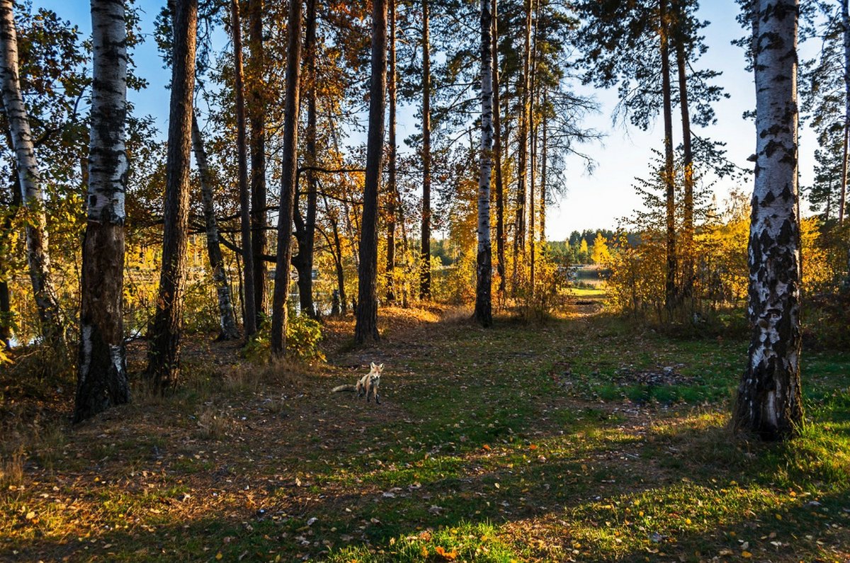 + - Александр Тулупов