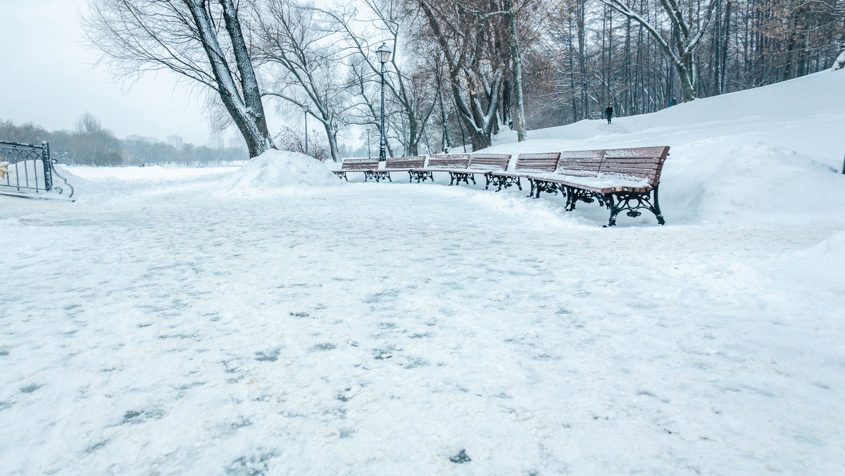 Зима в парке - Игорь Капуста