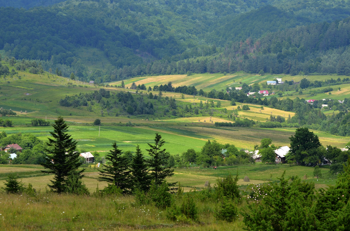 *** - Віктор .