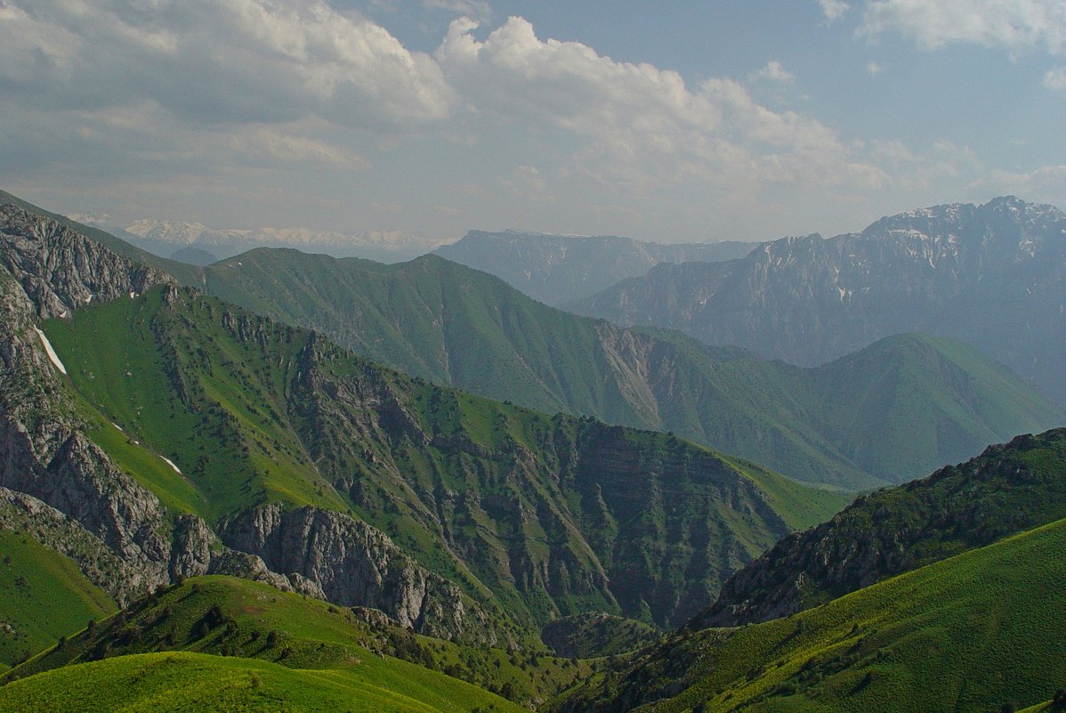 ДОЛИНА КУЛОСЬИ - Виктор Осипчук