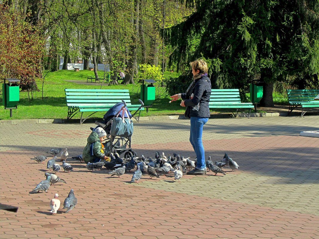 В соглассии с природой - Сергей Карачин