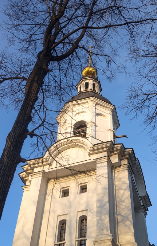 Церковь Успения Богородицы в Вешняках. Колокольня - Александра 