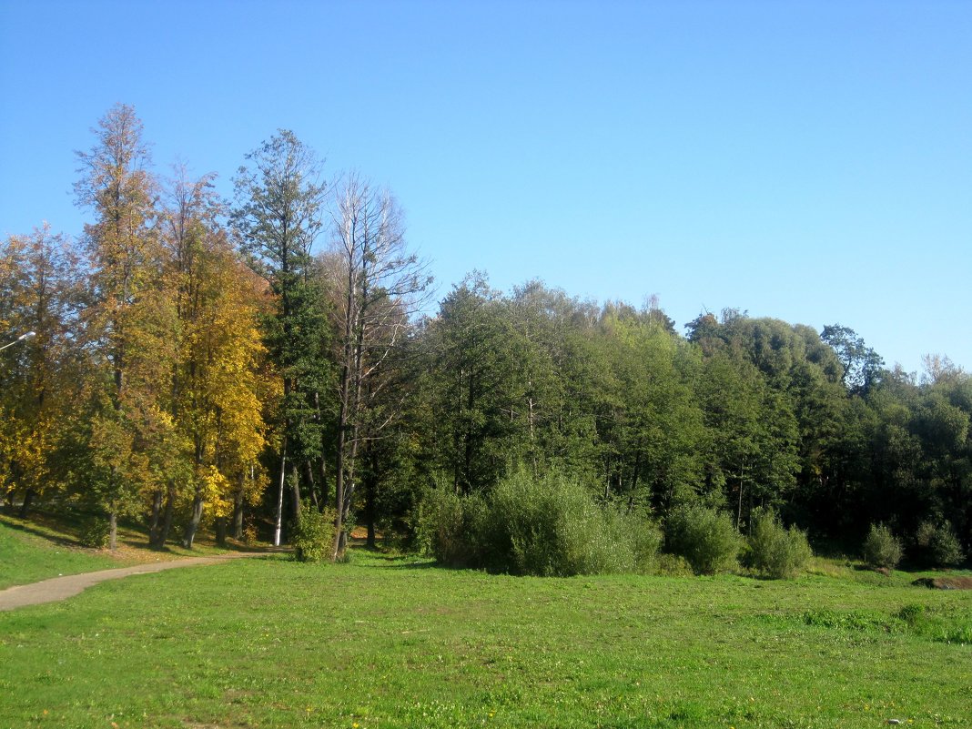 По дороге в парк - Елена Семигина