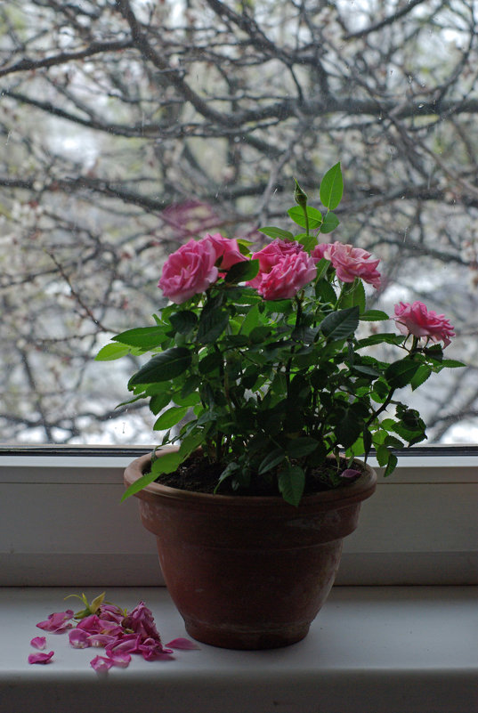 А за вікном йде сніг And outside the window it&#39;s snowing А за окном идет снег - Игорь Шубовичь