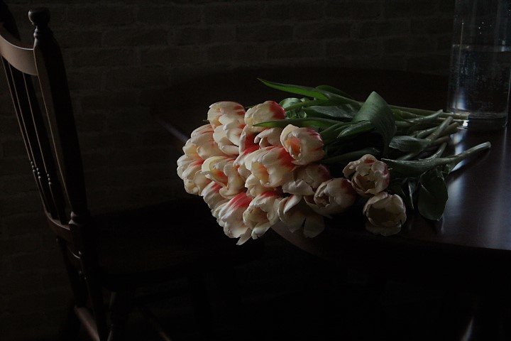 Тюльпаны - Ирина Горовик