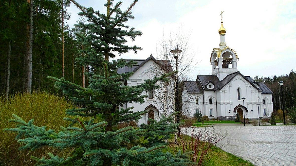 Православный комплекс в Катыни - Милешкин Владимир Алексеевич 