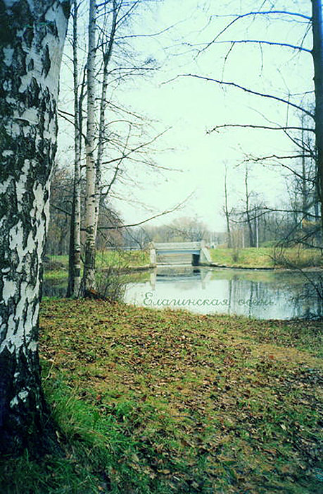 мостик - Miko Baltiyskiy