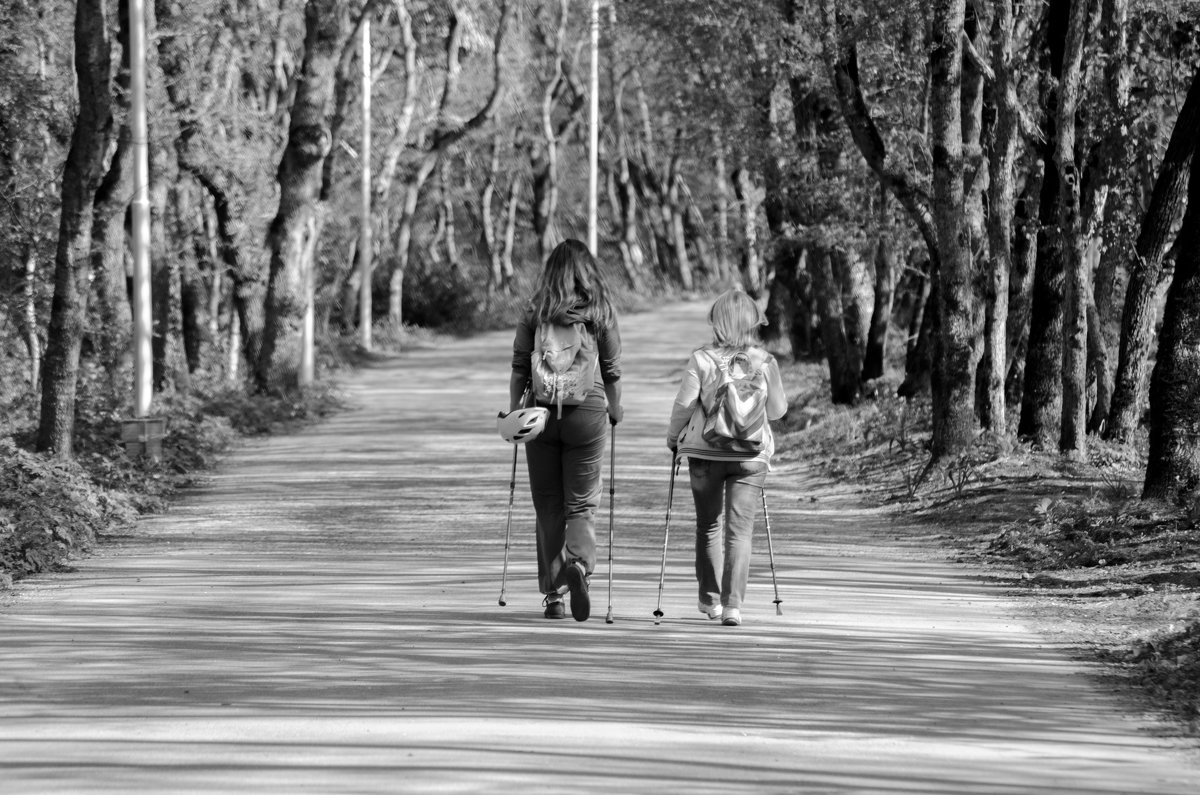 Женщины с палками для скандинавской ходьбы - Олег Брусенцев 