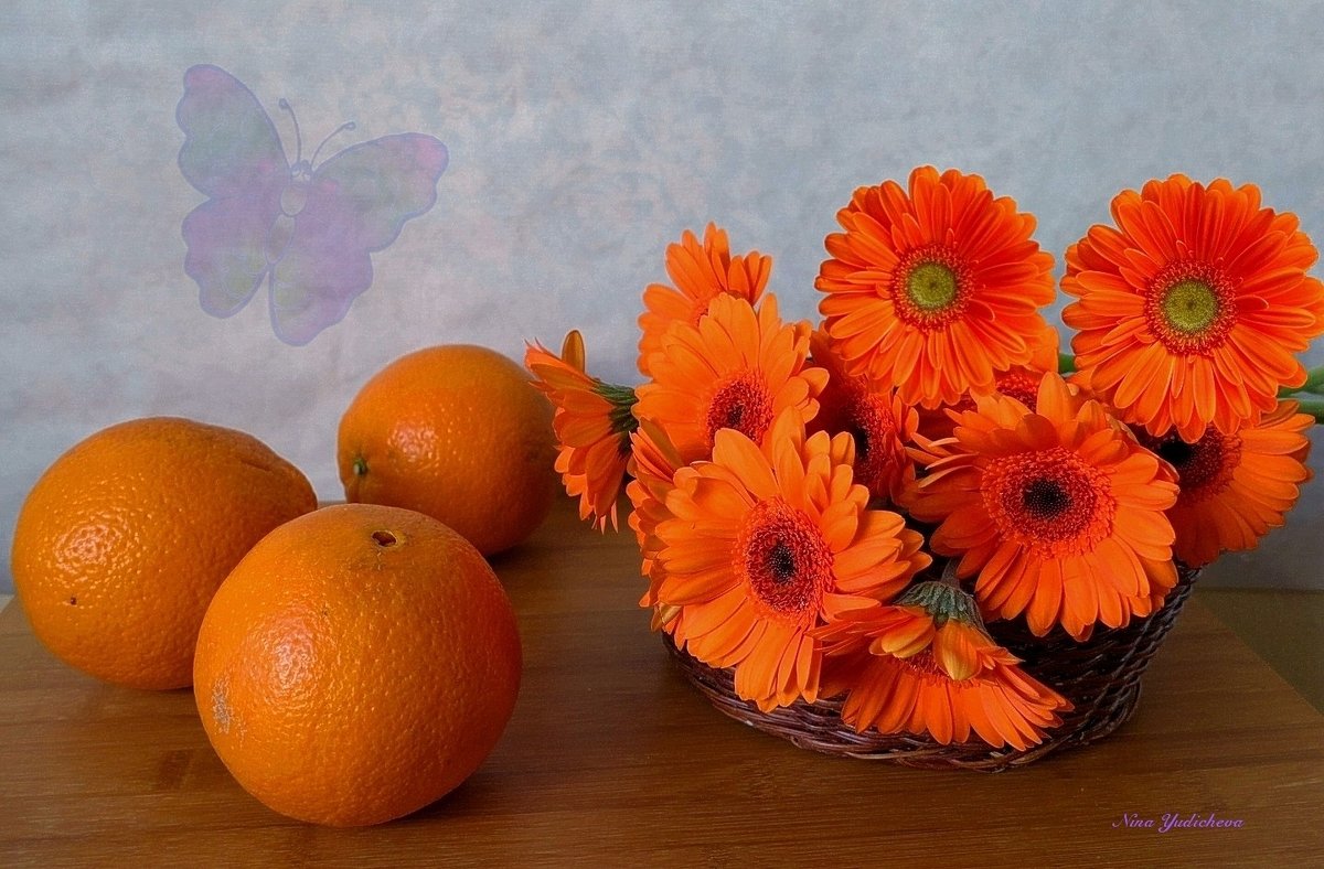 Герберы и апельсины - Nina Yudicheva