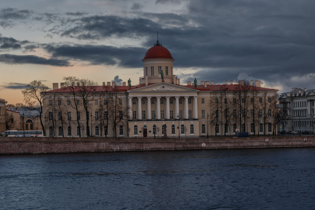 Пушкинский дом - Владимир Колесников