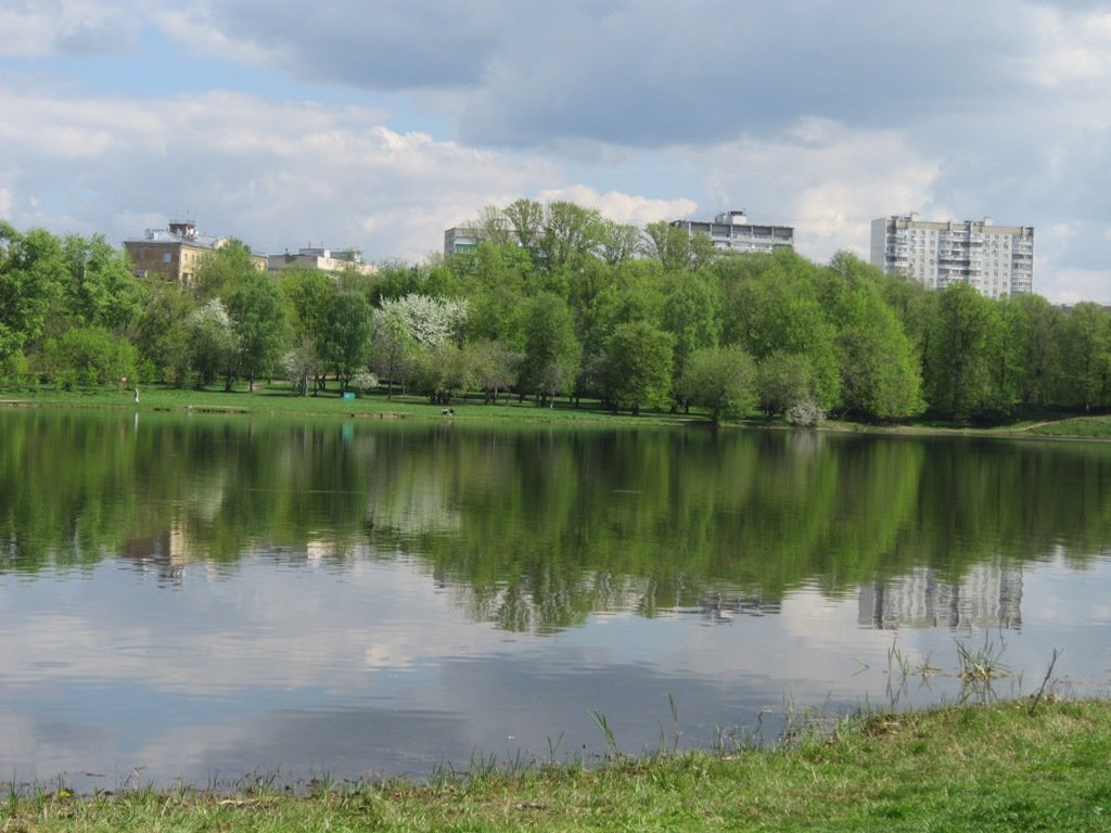 Головинские пруды в середине мая - Дмитрий Никитин