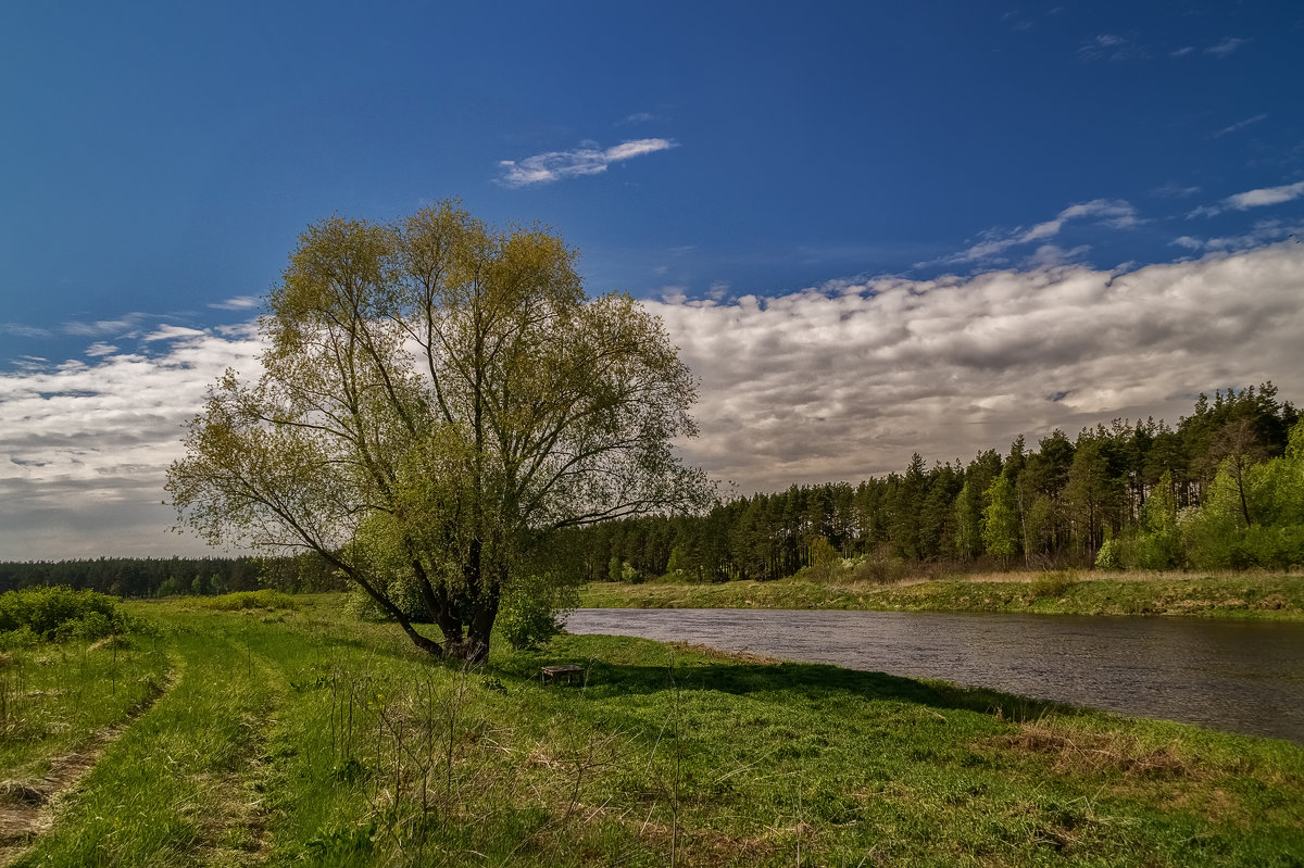 Берега реки Клязьмы - Андрей Дворников