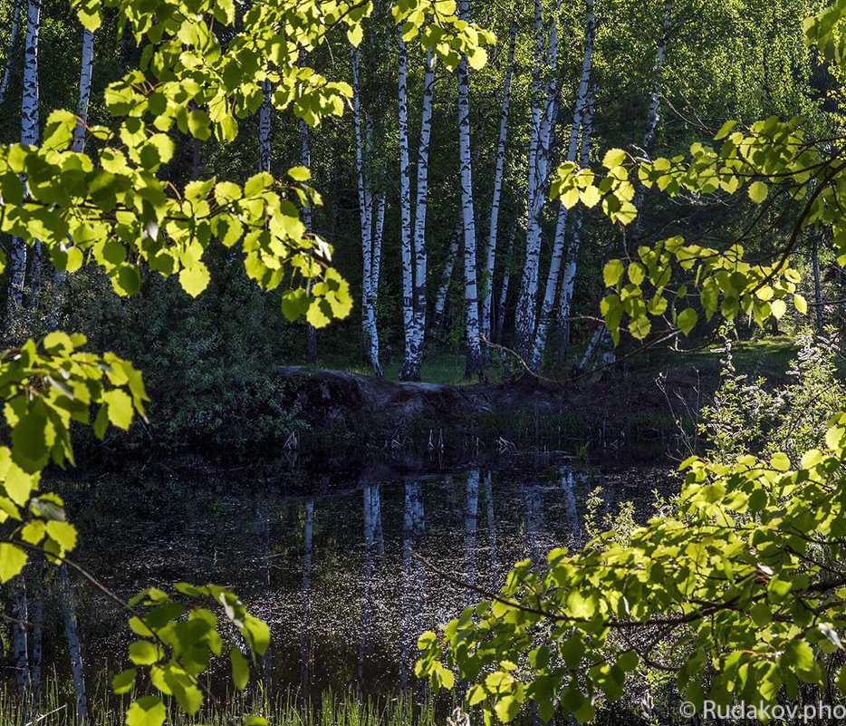 У лесного озерка - Сергей 