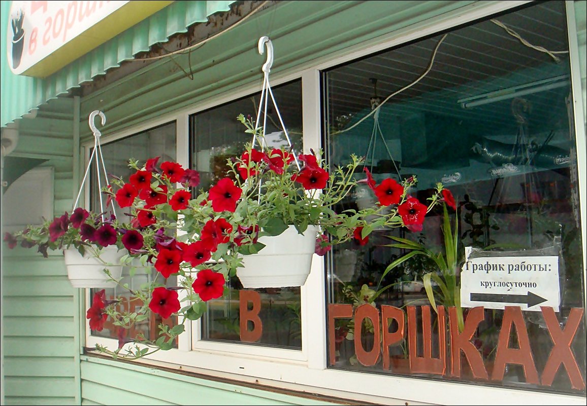 У цветочного магазина - Нина Корешкова