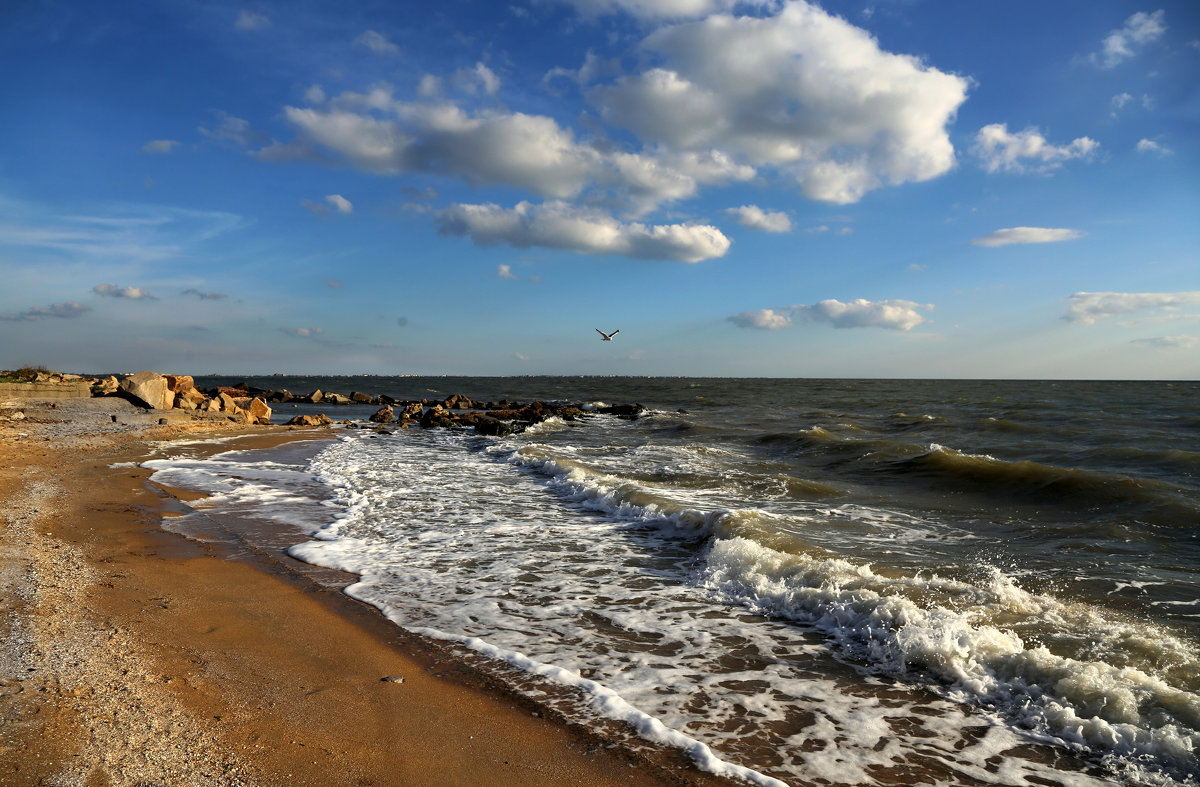 Азовское море Бердянск - Нилла Шарафан