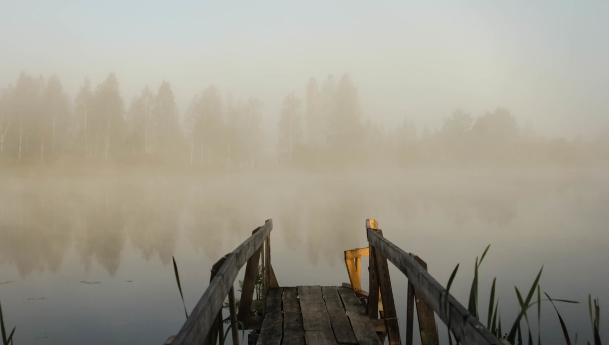 утро на озере - Владимир Федоров